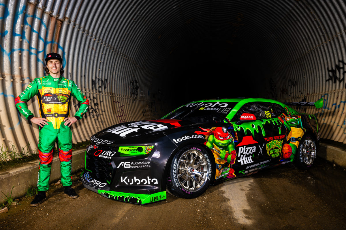 BJR Teenage Mutant Ninja Turtles livery