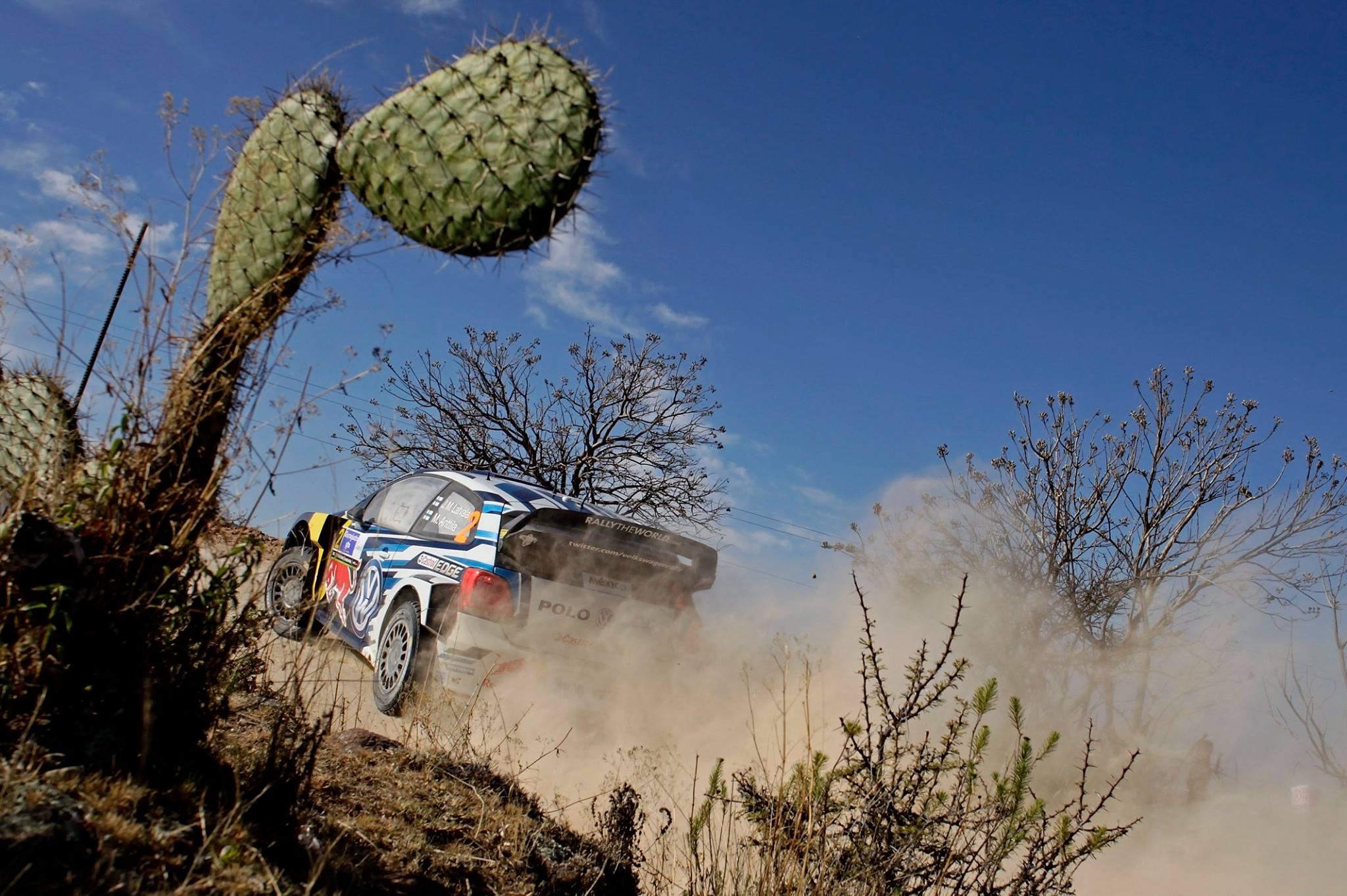 This is the view everyone has of Latvala in Mexico 