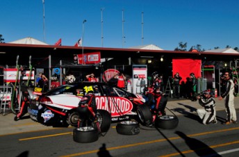 thumb The Brad Jones Racing crew service the #14 Lockwood Racing Commodore of Fabian Coulthard