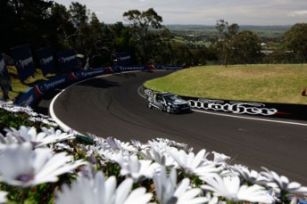 High-risk areas will have extra fencing protection at Mount Panorama this year