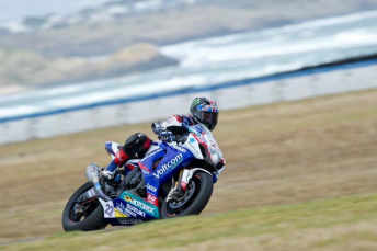 Alex Lowes set the pace in WSBK practice