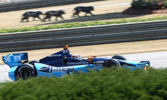 Alex Tagliani second fastest in IndyCar practice