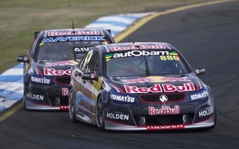 The Red Bull Holdens run line-astern at Sandown