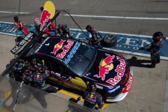Jamie Whincup competing with Red Bull Racing Australia at the Clipsal 500