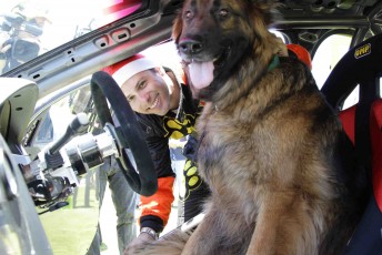 Steve Owen practices driver changes with a German Shepherd at the launch today