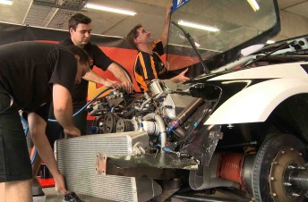 The Lucas Dumbrell team work on the #30 Gulf Western Oils Commodore