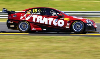 David Reynolds will drive the #16 Stratco Commodore in 2010