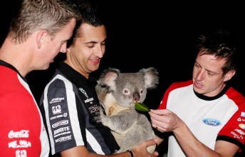 Steve Johnson, Fabian Coulthard and James Courtney with a friendly local in Townsville