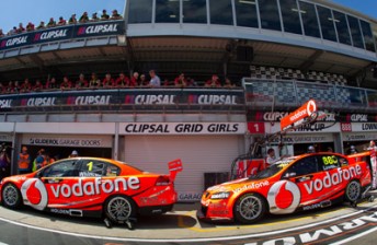 The two TeamVodafone Commodores in the Adelaide pitlane