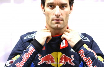 Mark Webber faced more challenges than most were aware of in the 2010 season